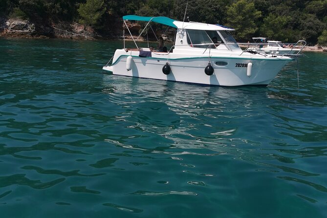 Half-Day Cruise of Oljak and Preko - The Skipper and Guides: Personal and Knowledgeable