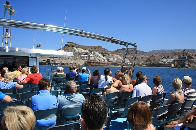 Half-Day Cruise Tour-Dolphin and Whale Watching - Navigating the Search for Dolphins and Whales