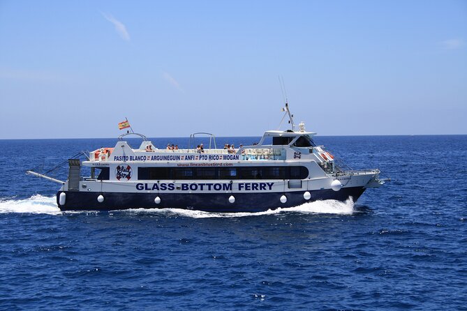 Half-Day Cruise Tour-Dolphin and Whale Watching - Strategic Stops for Swimming and Snorkeling