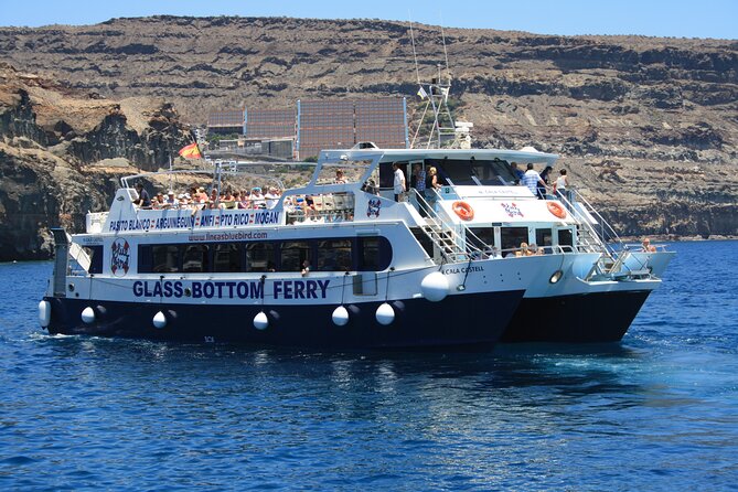 Half-Day Cruise Tour-Dolphin and Whale Watching - Logistics and Meeting Arrangements