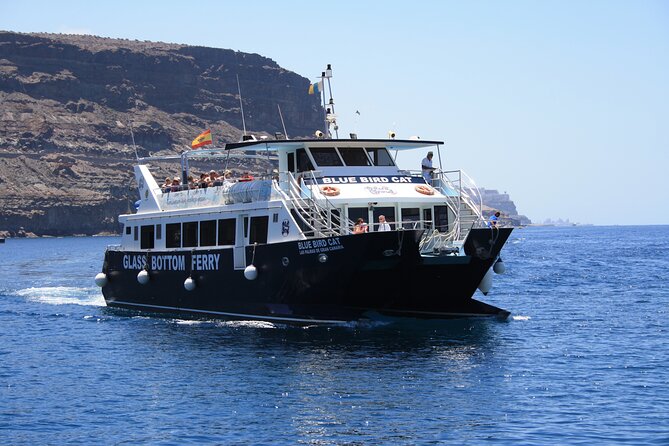 Half-Day Cruise Tour-Dolphin and Whale Watching - Practical Tips and Considerations
