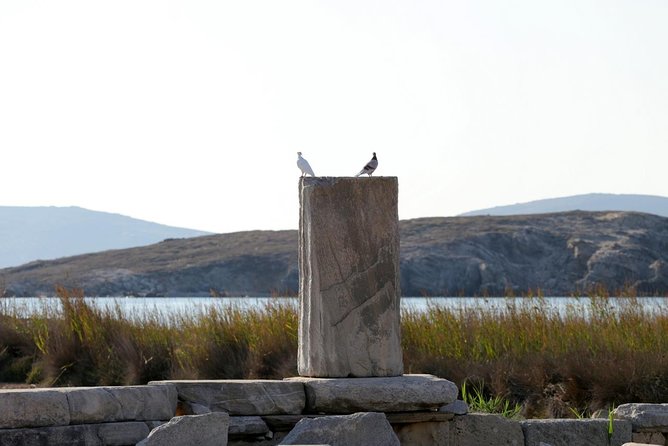 Half-Day Delos Tour from Mykonos - Physical Requirements and Suitability