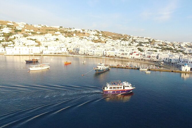 Half Day Delos Tour of Mykonos from the Cruise Ship Port - Practicalities: What’s Included and What’s Not