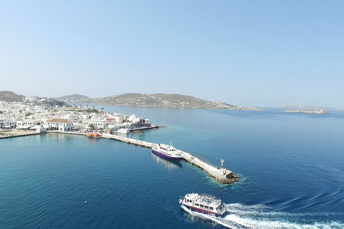 Half Day Delos Tour of Mykonos from the Cruise Ship Port - Crowd Levels and Group Dynamics