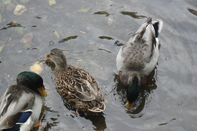 Half day Dubrovnik Countryside Gastro Experience - Tasting Konavle’s Wines at a Local Winery