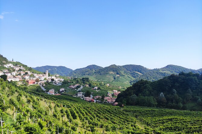 Half-Day E-Bike Tour in Prosecco Hills with Prosecco Tasting - Scenic Cycling Through Prosecco Vineyards