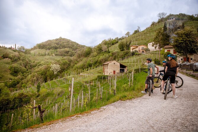 Half-Day E-Bike Tour in Prosecco Hills with Prosecco Tasting - What’s Included in the Tour