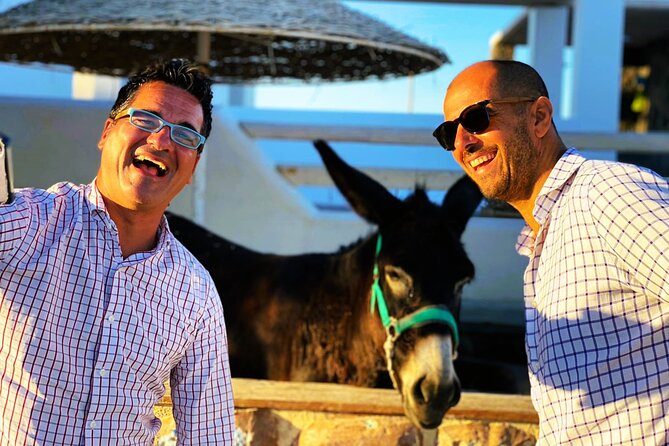 Half Day Easy and Fun Taste of Santorini - Insider Tips for a Great Experience