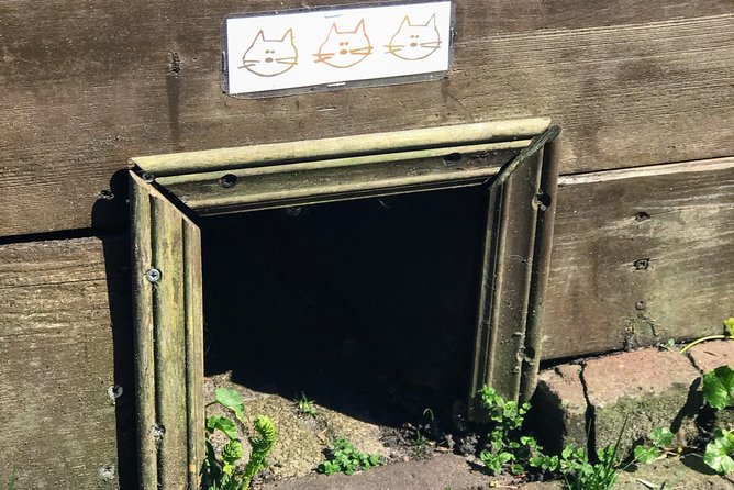 Half-Day Edam and Volendam Private Walking Tour from Amsterdam - Key Points