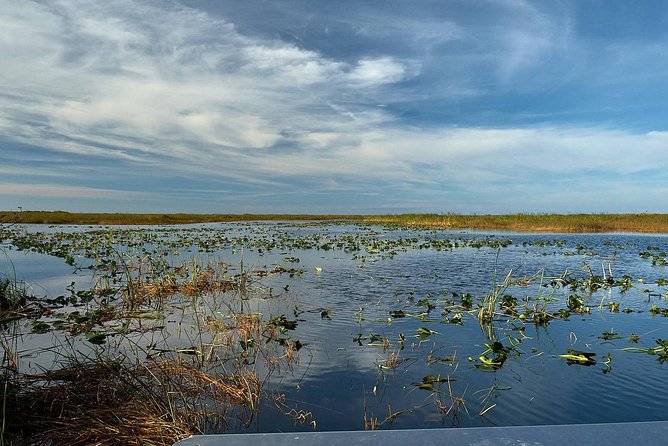 Half-day Everglades National Park Tour and 1-Hour Air Boat Ride - Practical Details and Booking Insights