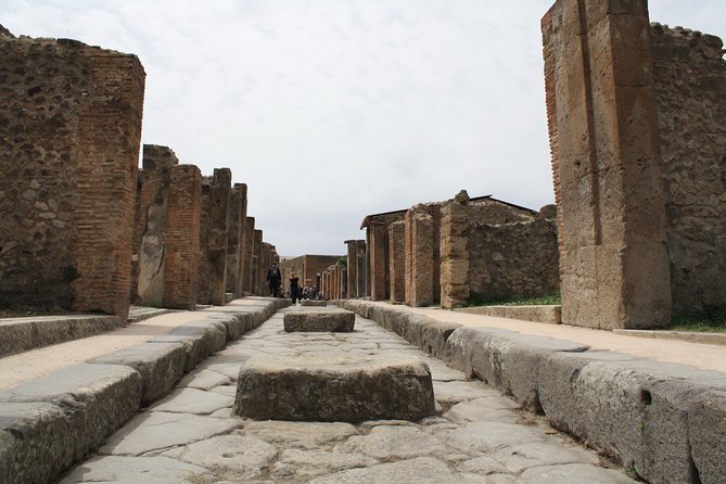 Half-Day Exclusive Private Tour of Pompeii and Herculaneum - The Expertise of Your Local Guide and Personal Attention