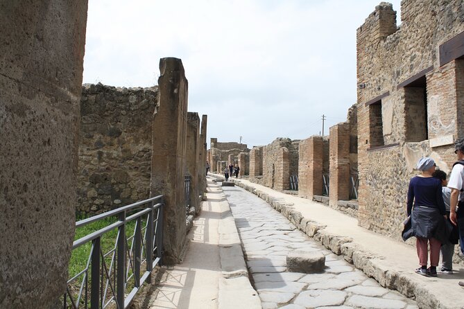 Half-Day Exclusive Private Tour of Pompeii and Herculaneum - Logistics: Meeting Points, Transportation, and Timing