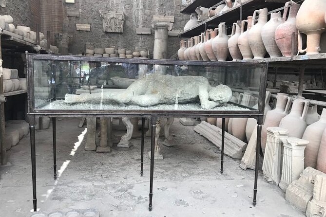 Half-Day Exclusive Private Tour of Pompeii and Herculaneum - Comparing with Similar Tours