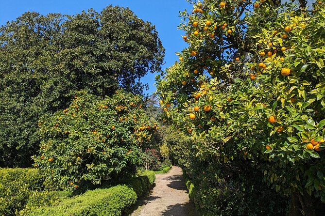 Half-day excursion around Santiago - Practical Details and Booking Information