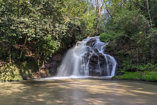 Half-day excursion around Santiago - Why Choose This Santiago Architectural Tour?
