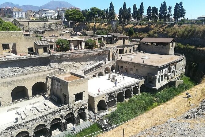 Half Day Excursion to Herculaneum from Naples with Lunch - Why Choose This Tour: Highlights and Practicalities