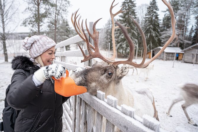 Half-Day Experience in Local reindeer farm in Lapland - The Experience’s Pace and Duration