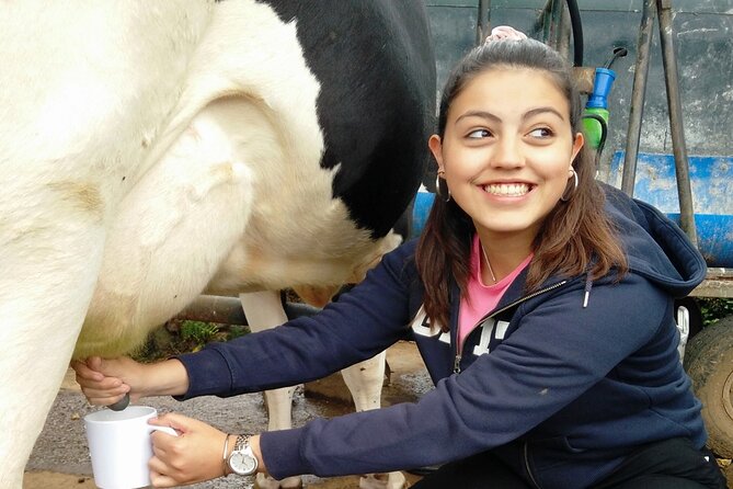 Half-Day Farm Visit and Cow Milking Experience - Key Points