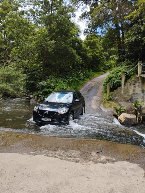 Half Day Fire Lake, Pineapple & Tea by SUV - Exploring Pico da Barrosa and Lagoa do Fogo