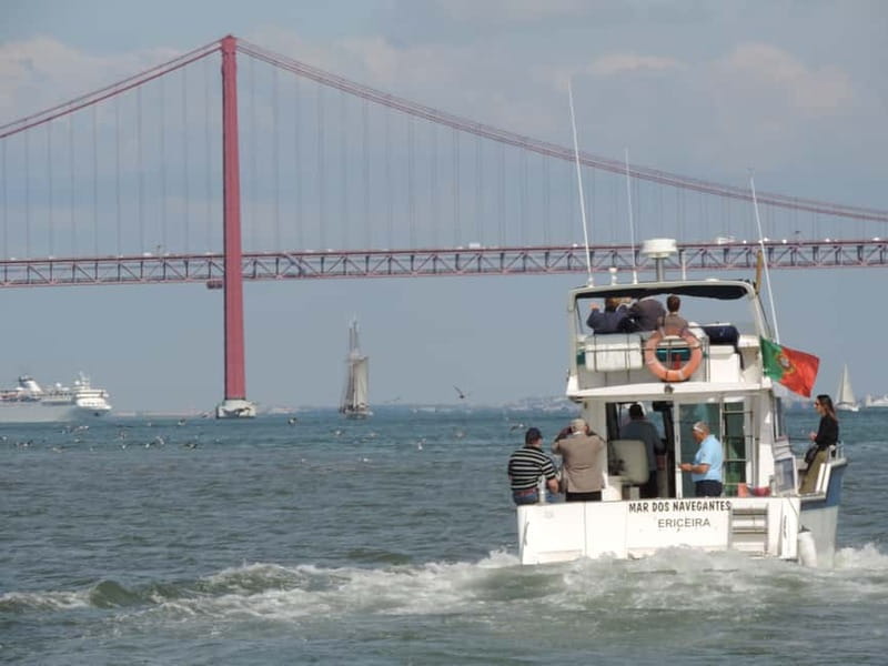 Half Day Fishing Trip - The Experience on the Water: Scenic Views and Ocean Air