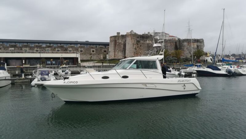 Half Day Fishing Trip - Catching Fish and Taking Home Your Bounty