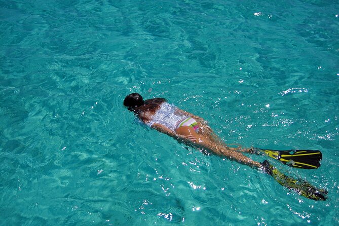 Half-Day Florida Keys Catamaran Snorkel Adventure - Highlights of the Snorkeling Experience