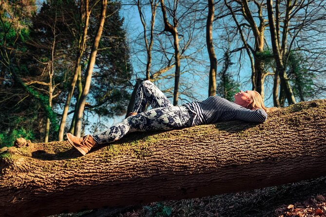 Half-day Forest Bathing and Yoga in Brighton's Woodlands - Key Points