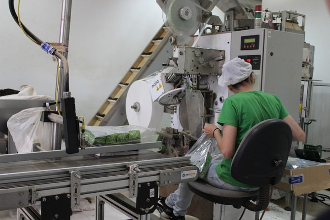 Half Day Furnas And Hot Springs - Discovering São Miguel’s Furnas Crater and Thermal Pools