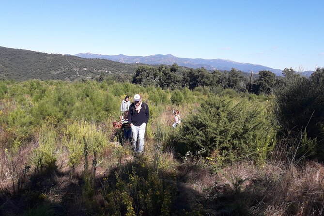 Half Day Gastronomic Wild Walk in Girona - Learning About Plants, Mushrooms, and Fauna