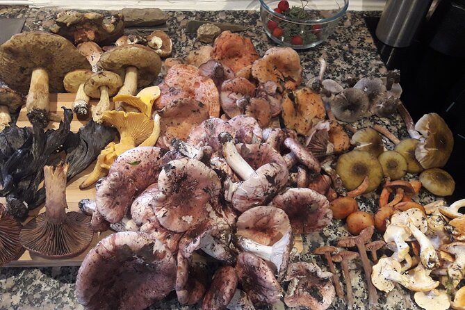 Half Day Gastronomic Wild Walk in Girona - The Guide: Ignacio’s Expertise and Approach