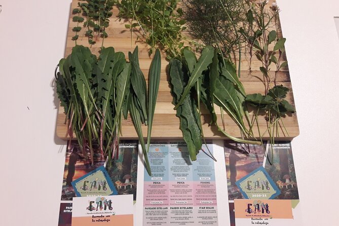 Half Day Gastronomic Wild Walk in Girona - Physical Requirements and Accessibility