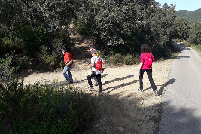 Half Day Gastronomic Wild Walk in Girona - Weather Considerations and Cancellation Policy