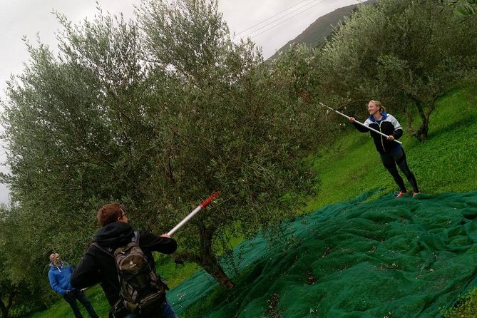 Half-Day Georgioupolis Off-Road Adventure with Meal - Key Points