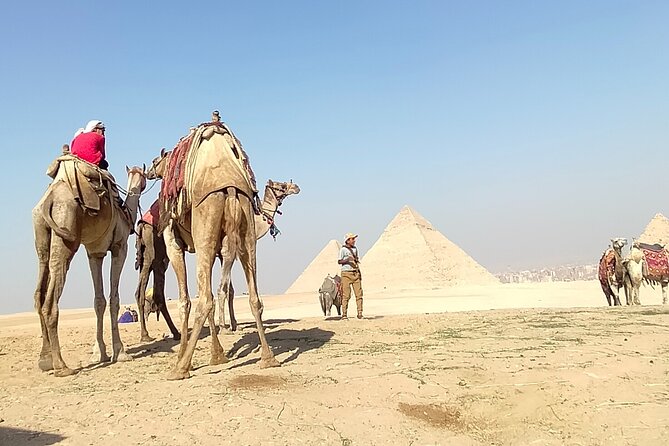 Half day Giza pyramids and Sphinx tour with an Egyptologist - Exploring the Pyramids of Khafre and Menkaure