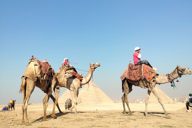 Half day Giza pyramids and Sphinx tour with an Egyptologist - The Great Sphinx of Giza and Valley Temple