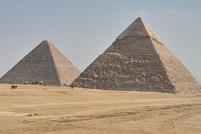 Half day Giza pyramids and Sphinx tour with an Egyptologist - Guides and Personalization