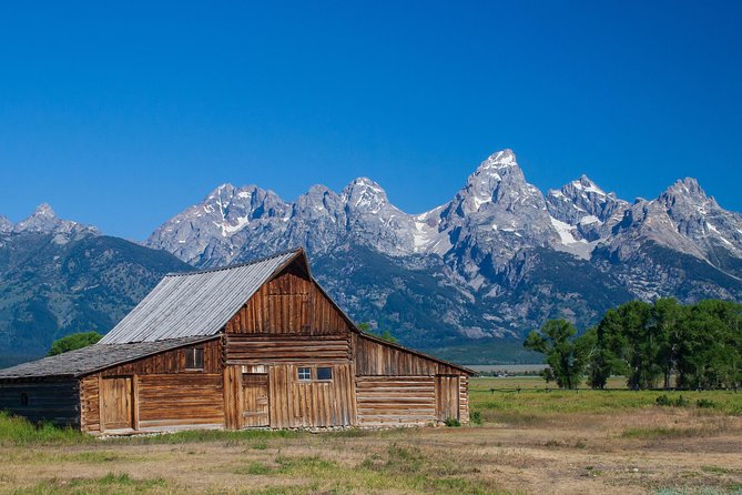 Half-Day Grand Teton Wildlife Safari Private Tour - Explore Grand Teton Wildlife with a Private Guide and No Planning Stress