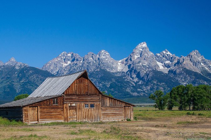 Half-Day Grand Teton Wildlife Safari Private Tour - Premium Equipment and Naturalist Guides for Better Wildlife Viewing