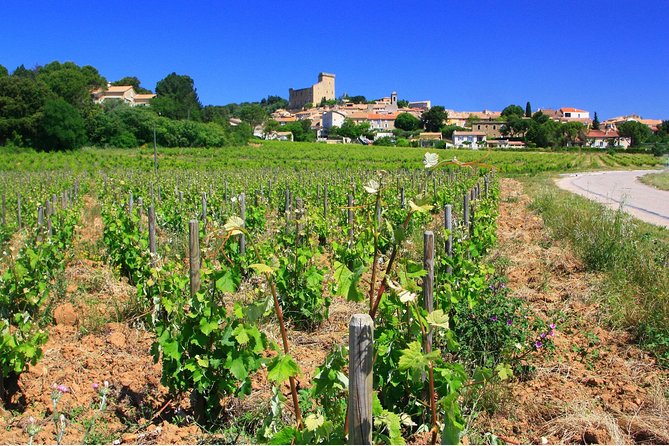 Half Day Great Vineyard Tour from Avignon - The Taste of Provençal Wines