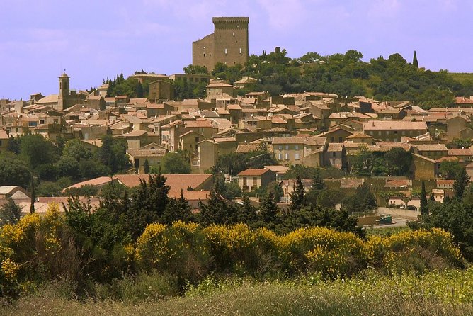 Half Day Great Vineyard Tour from Avignon - Visiting Charming Villages and Scenic Views