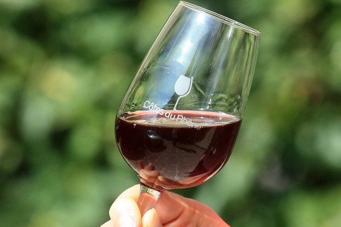 Half Day Great Vineyard Tour from Avignon - Who Will Appreciate This Vineyard Tour?