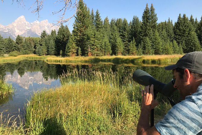 Half Day Group Sunset Wildlife Safari - Scenic Stops in Grand Teton National Park
