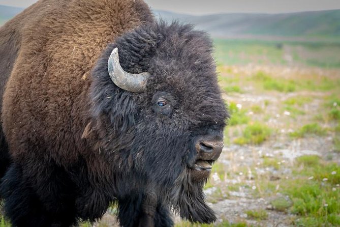 Half Day Group Sunset Wildlife Safari - The Route and Flexibility