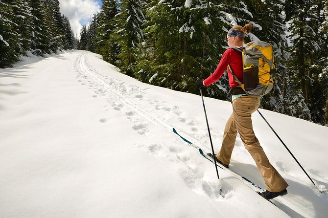 Half-Day Guided Backcountry Ski Touring Experience near Incline Village - Discover the Tahoe Backcountry with Professional Guidance