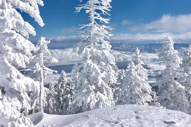 Half-Day Guided Backcountry Ski Touring Experience near Incline Village - Key Points