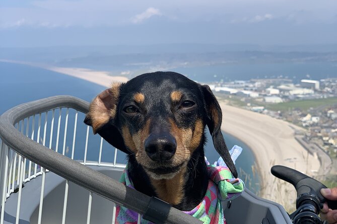 Half-Day Guided E-Bike Tour Portland with Brunch - Key Points