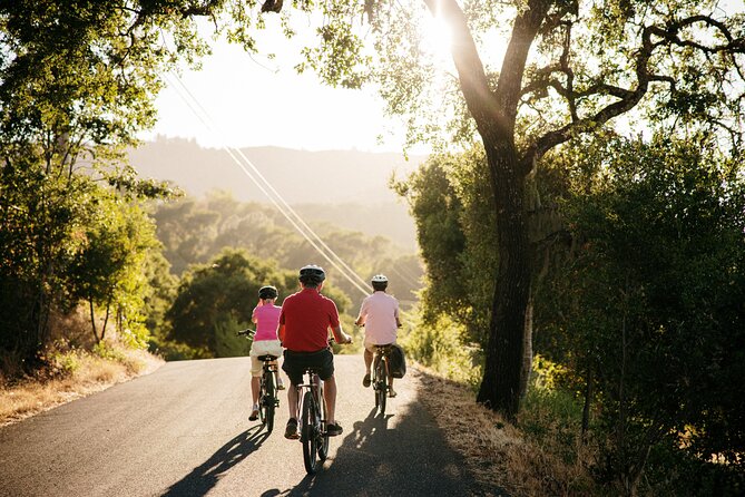 Half Day Guided Electric Bike Wine Tasting Tour with Lunch - The Start at Healdsburg: Meeting Point and First Impressions
