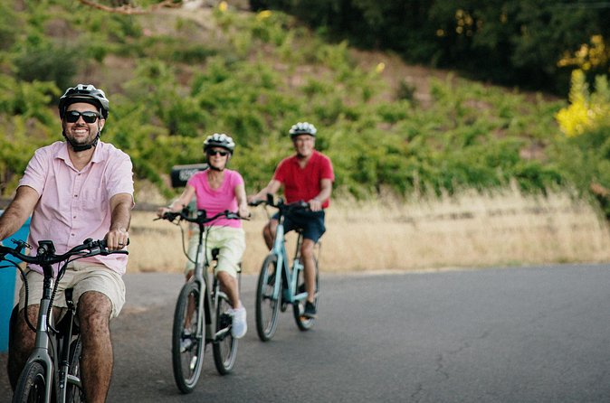 Half Day Guided Electric Bike Wine Tasting Tour with Lunch - Pacing, Safety, and Comfort