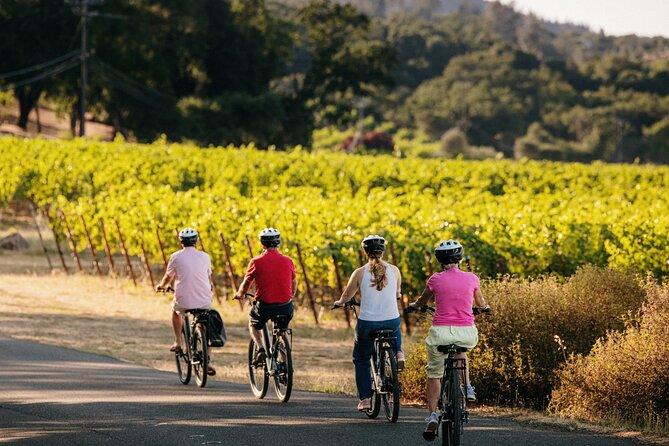 Half Day Guided Electric Bike Wine Tasting Tour with Lunch - Weather Considerations and Cancellation Policy