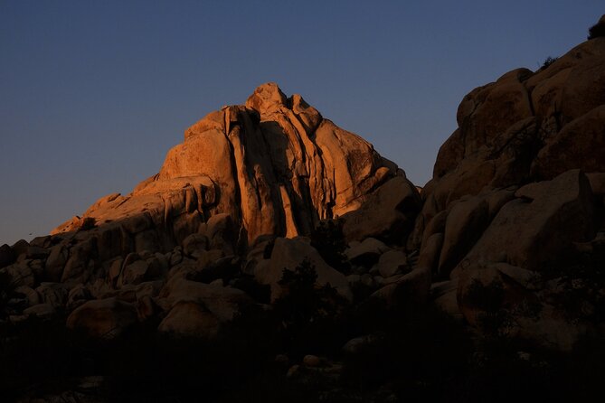 Half-Day Guided Hike in Joshua Tree National Park - Expert Guides with Deep Local Knowledge